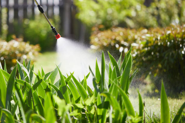 Tamper-Resistant Bait Stations for Rodents in Seacliff