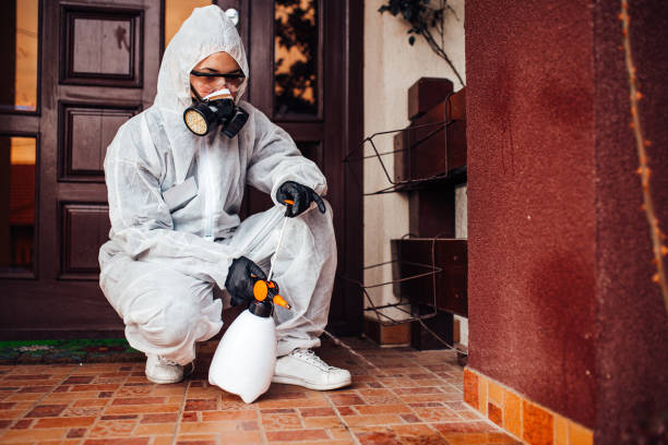 Attic and Crawl Space Rodent Treatment in Seacliff